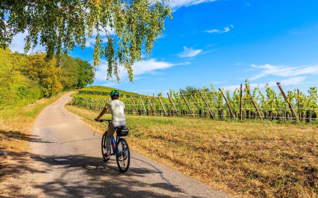 Rallye Vélo des vignobles Saint-Emilion